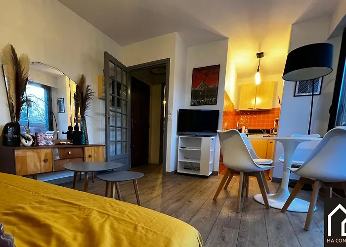 Chez Perrine, Magnifique Appartement Face Aux Remparts